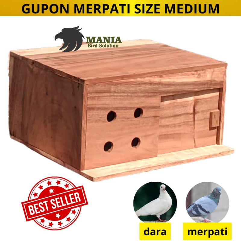 GUPON PAGUPON BURUNG MERPATI DORO RUMAH MERPATI KAYU