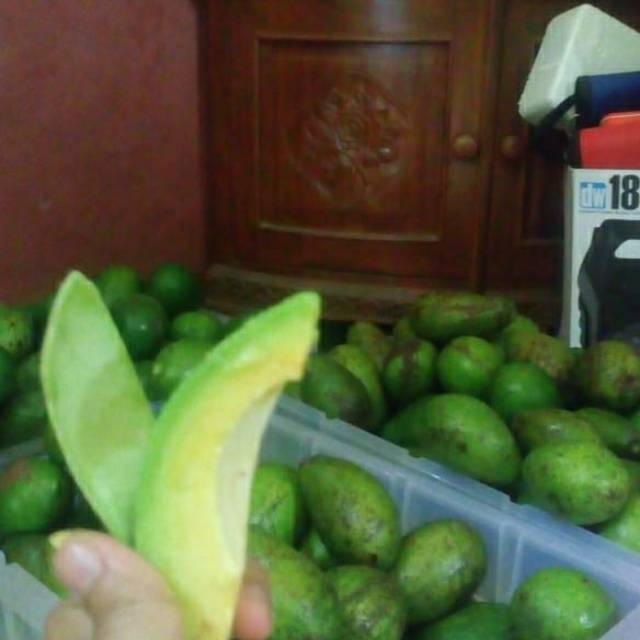 

Alpukat mentega