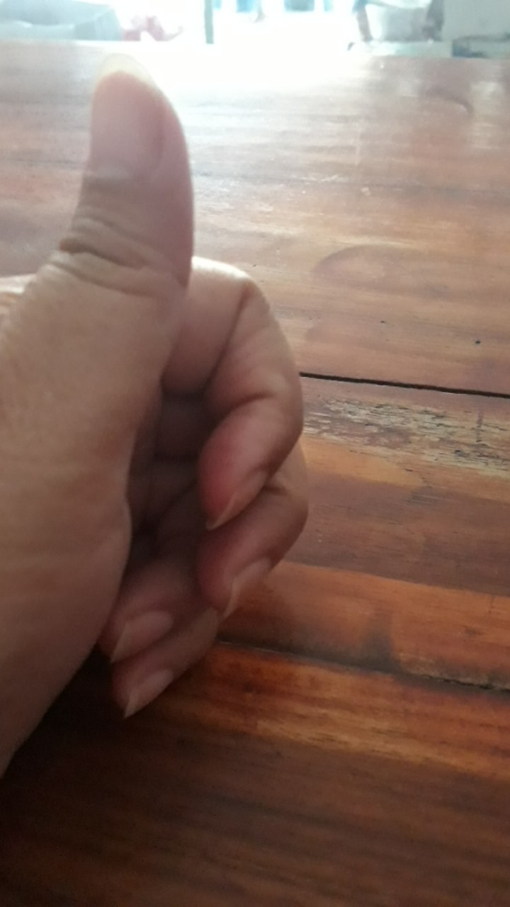 Cetakan Akar Kelapa Atau Ulat Sutera Jumbo