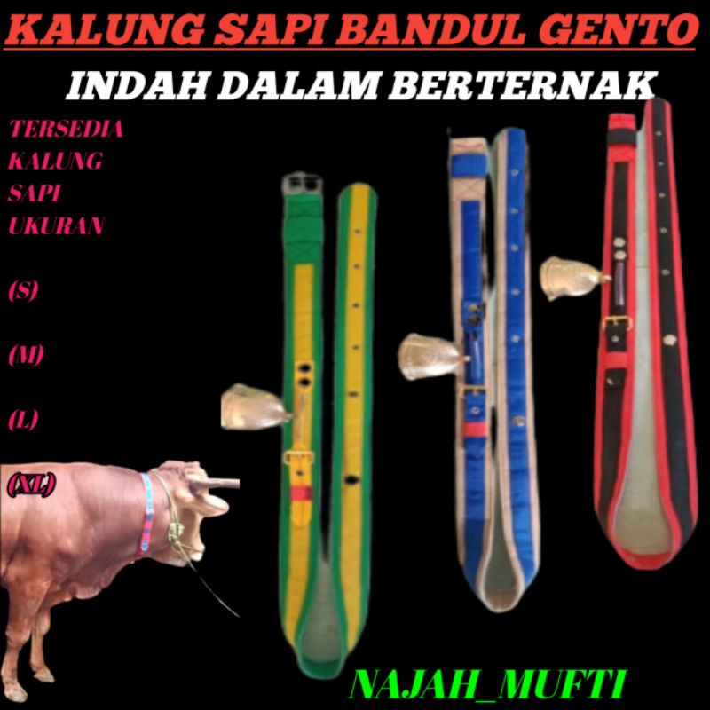 KALUNG SAPI BANDUL GENTO.