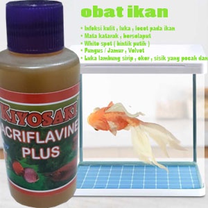 Obat Semua jenis ikan