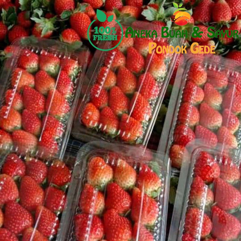 

Strawberry Manis Segar | Stroberi Perpac