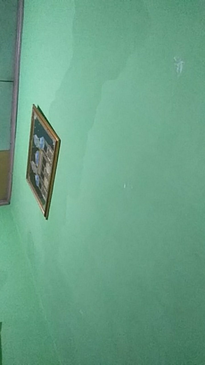 Plastik Pe Cap Jeruk Ukuran 1/2 Kg (12×x24cm)