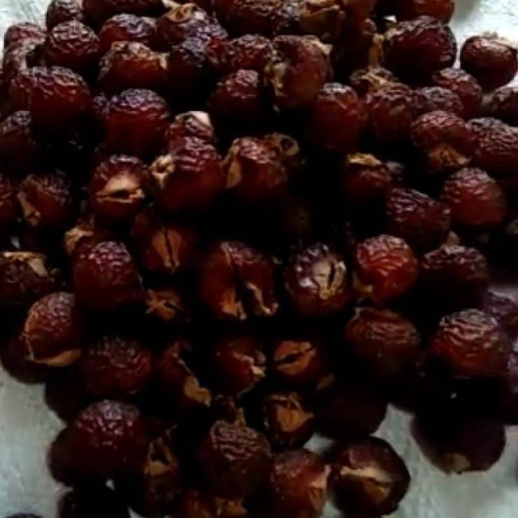 

9AF ϟ biji lerak daging tanpa biji 1KG kualitas super → (Diskon Promo)