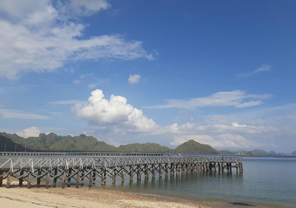 Tutup Galon Biru Anti Tumpah Praktis Efisien
