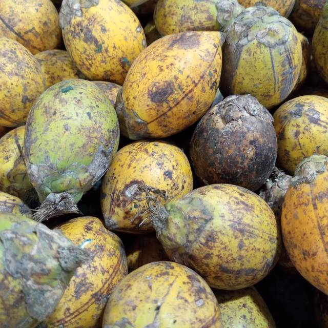 

Pinang Super/Biji 5000