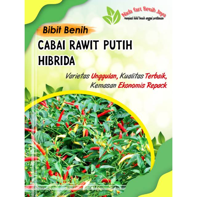 15 biji benih cabe rawit putih dewata - bibit cabai setan