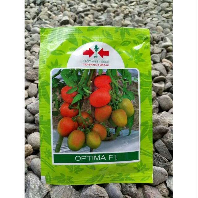 Optima F1 volume 5 gram benih tomat