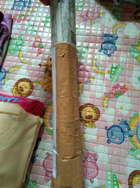 Bibit Kamboja Bunga Kuning Stek Batang / Pohon Kamboja Kuning Stek Batang