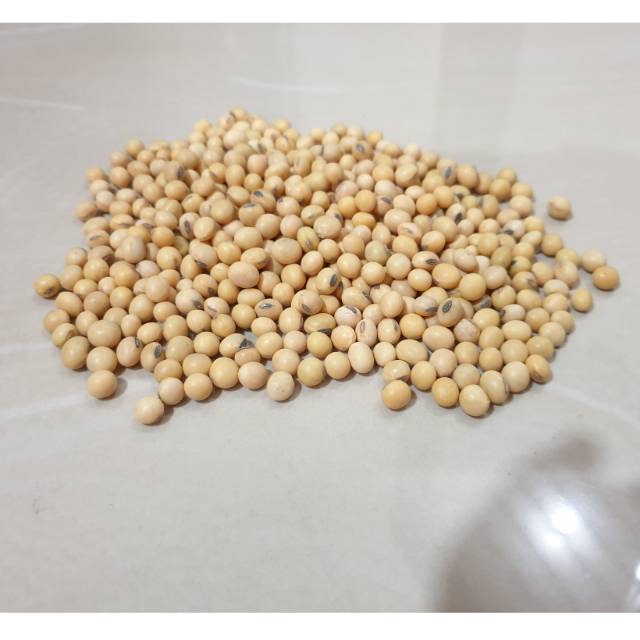 

Kedelai Impor Super - 1 Kg