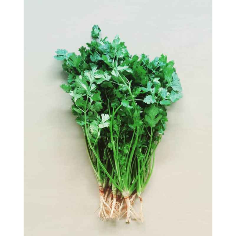 

Daun Ketumbar Segar | Daun Wansui