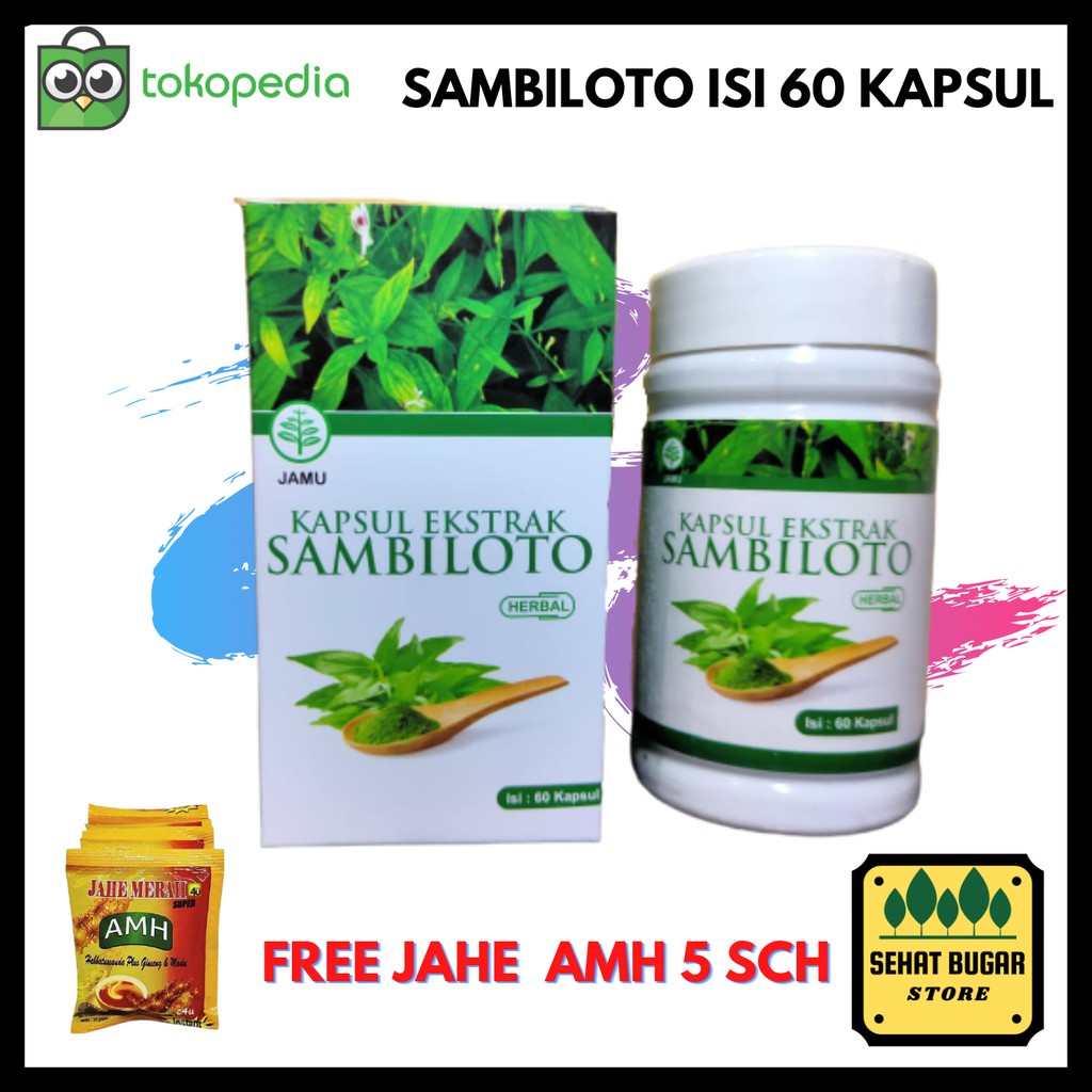 

[FREE JAHE AMH 5 SCH] KAPSUL EKSTRAK SAMBILOTO HERBAL ALAMI ISI 60 Kps