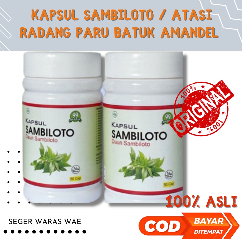 KAPSUL SAMBILOTO 50 cap Herbal Atasi Penyakit Paru Radang Batuk Amandel bronkitis Original Alami