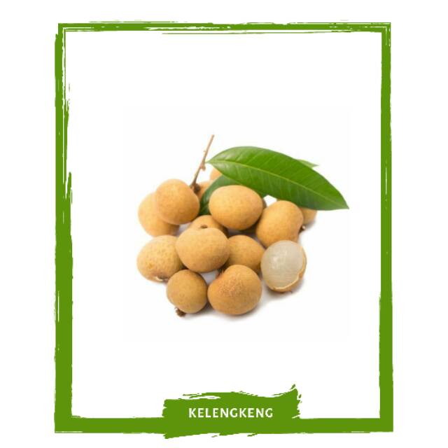 

Kelengkeng / Longan / Buah Buahan Segar On Mallahrizwa