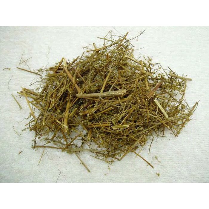 

600 G GR GRAM 青蒿草 QING HAO HERBA ARTEMISIAE ANNUAE SWEET WORMWOOD HERB