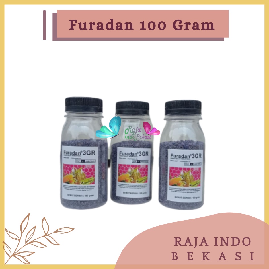 Rajaindobekasi Ori Furadan Botol 100 Gram Kemasan Repacking Furadan Obat Semut Anti Hama 3gr Insektisida Uret Akar Furadan 3gr 1kg 2kg 500 Gram