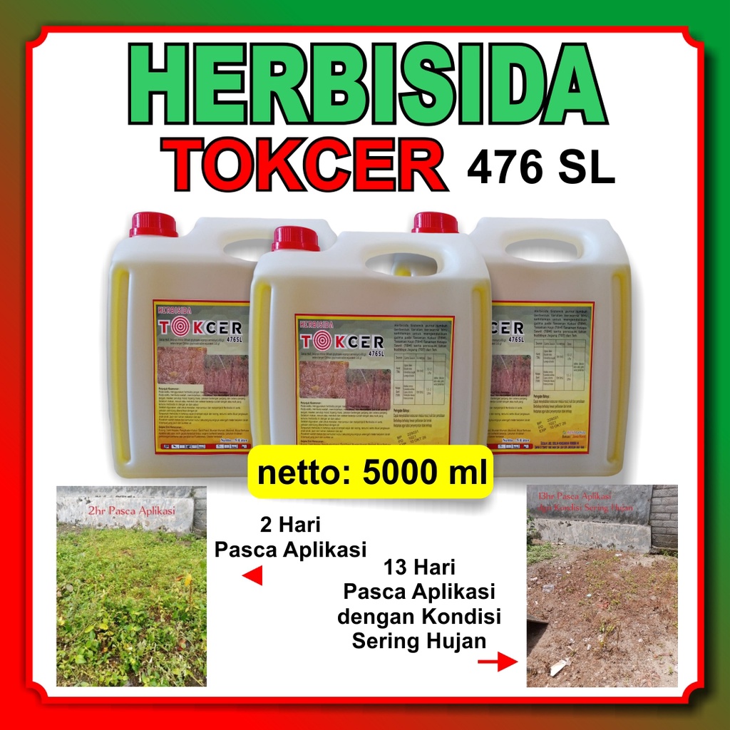 Herbisida Glifosat TOKCER 476SL 5000 ml - Obat Racun Rumput Sistemik Mati Akar / Herbisida Rumput / 