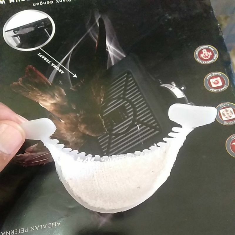 Sarang palsu burung walet