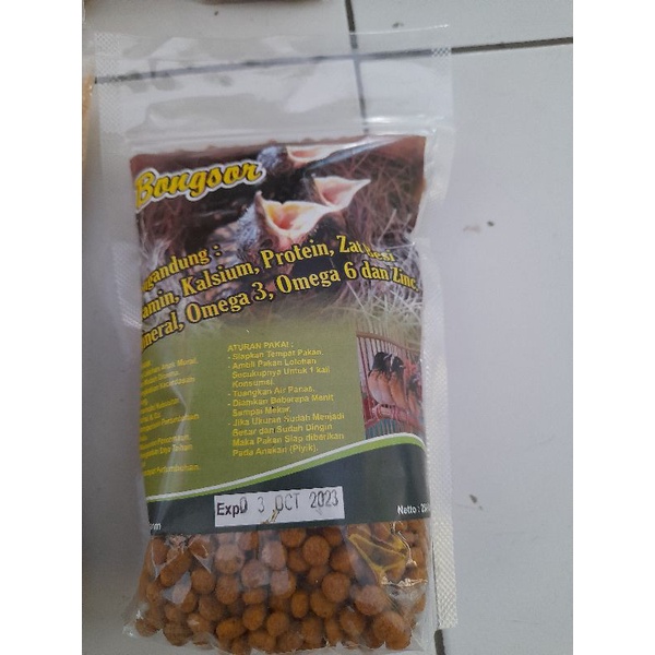 Pakan Lolohan Anakan Murai Bongsor