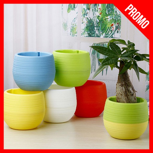 5 PCS POT BUNGA KAKTUS MINI BAHAN PLASTIK UNTUK DEKORASI HIASAN IMPORT BATAM MURAH LUCU MINIMALIS