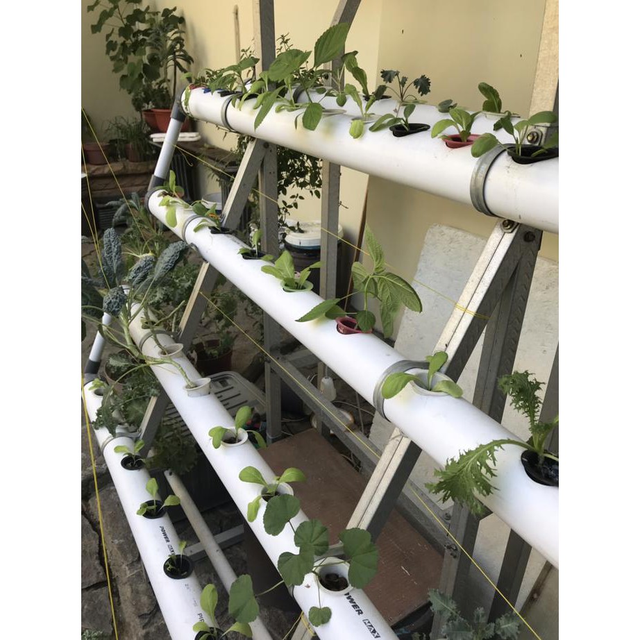 Modul Dft Hidroponik