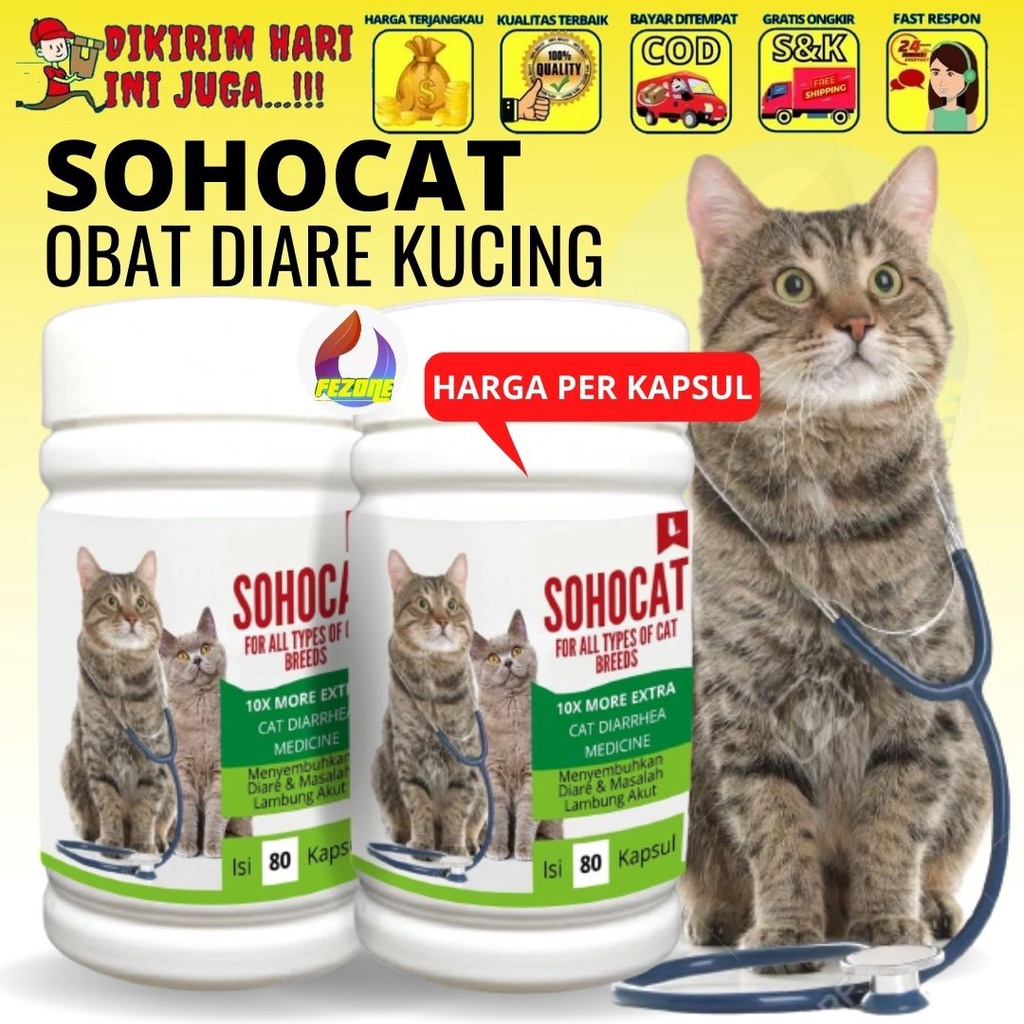 Obat Diare Mencret Kucing Eceran Terbukti Ampuh dan Aman Untuk Semua Jenis Kucing FEZONE