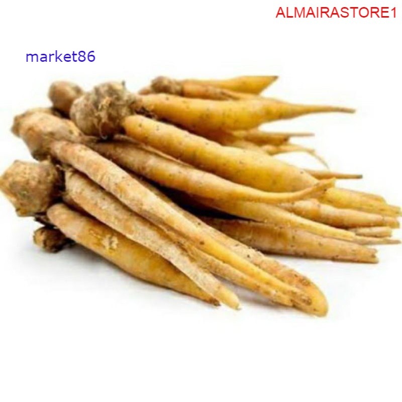 

Sayuran Segar Sayur FRESH Temu Kunci 100 gram - WFB .
