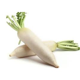 

Lobak Putih Super Fresh