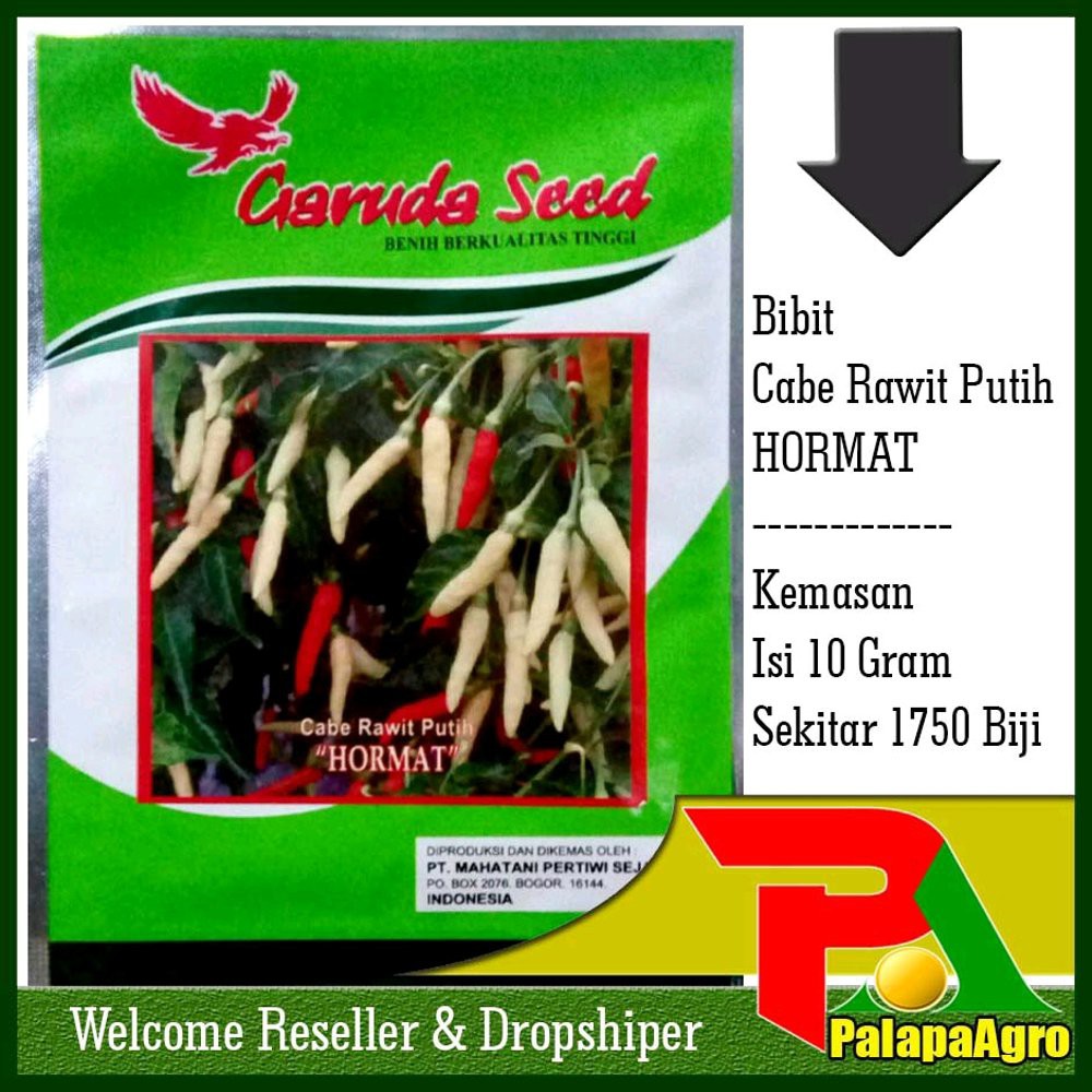 Benih Cabe Rawit Putih HORMAT-Bibit Cabe Rawit Diskon
