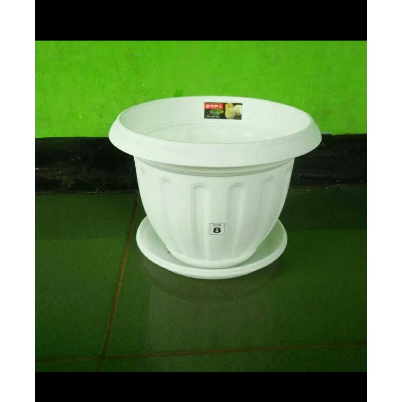 pot tanaman lion star  + tatakan pot / pot plastik lion star no.8