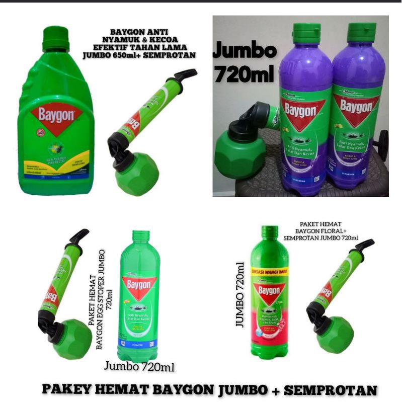 BAYGON ANTI NYAMUK & KECOA   400ml+SEMPROTAN