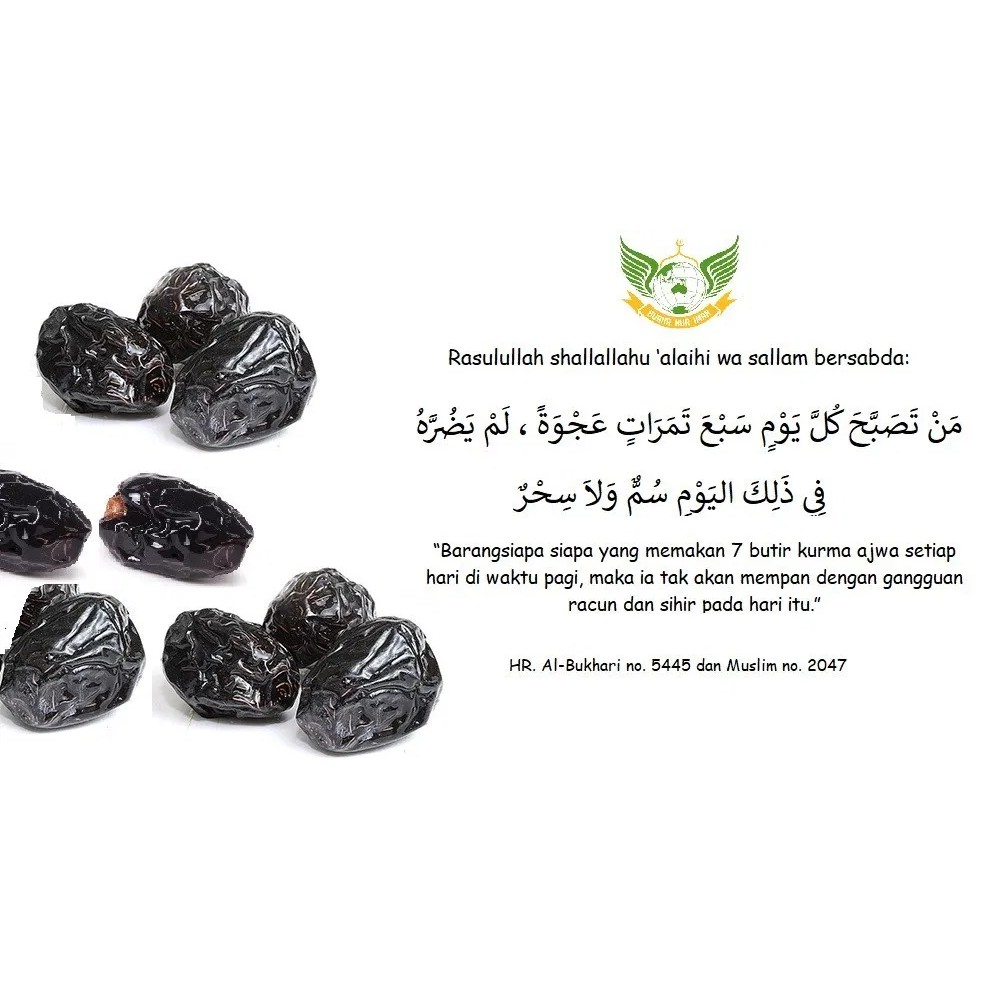 

Kurma Nabi / Kurma Ajwa / Kurma Murah 1kg