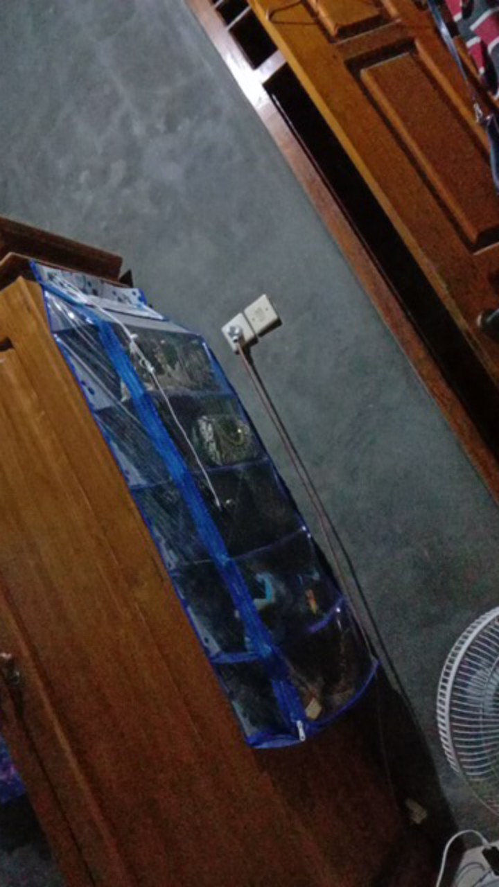 Tempat Tas Bunga Panjang