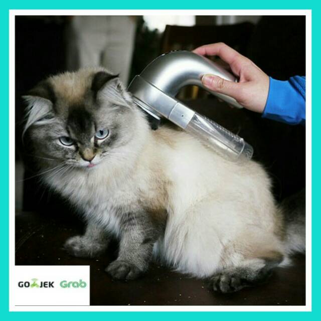 Alat Penyedot Bulu Hewan Alat Sedit Bulu Kucing Alat Sedot Bulu