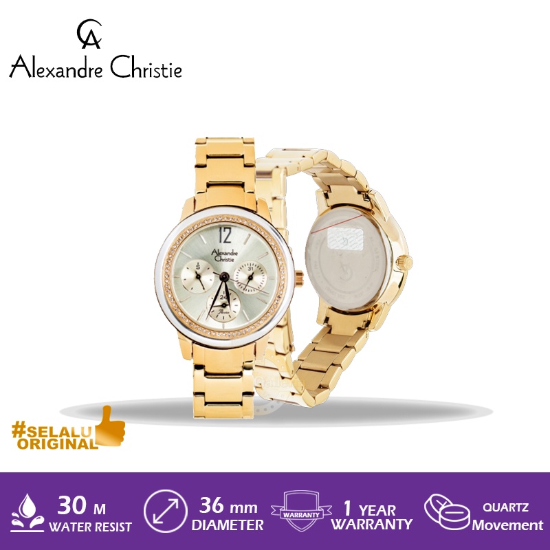 Jam Tangan Alexandre Christie AC 2937 BF BGPIV / 2937 BFBGPIV