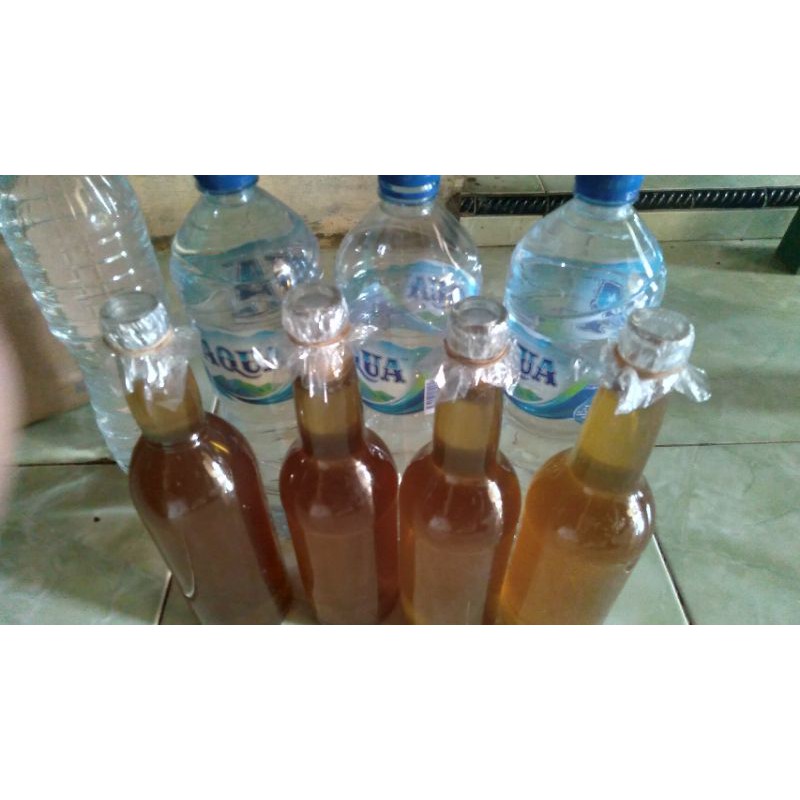 

Jual Madu Lebah Liar Alas Asli/Madu Lebah Ternak Murni
