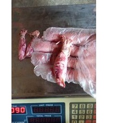 

cumi/cumi asin/cumi sedang 250g uk.3-5 cm