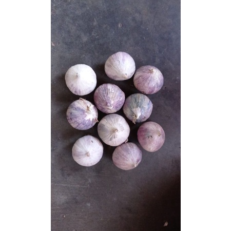 

BAWANG PUTIH TUNGGAL LANANG FRESS 1KG JUMBO