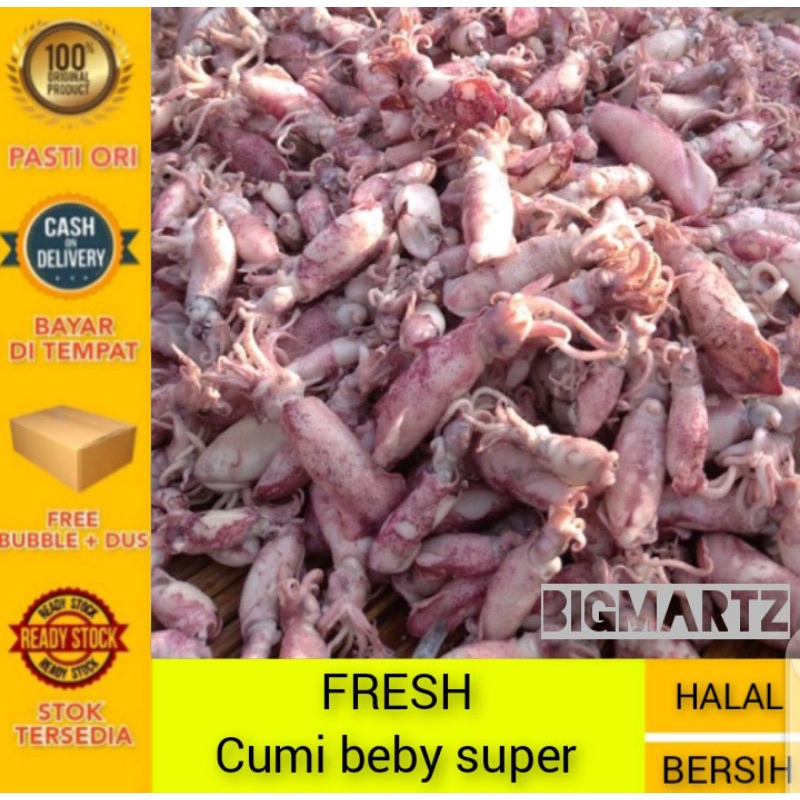 

ikan asin cumi super campur 1-5cm fresh
