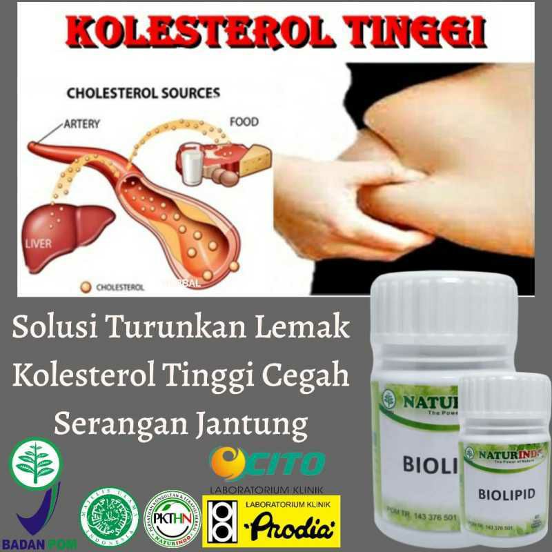 BIOLIPID Obat herbal ampun penurunan kolesterol