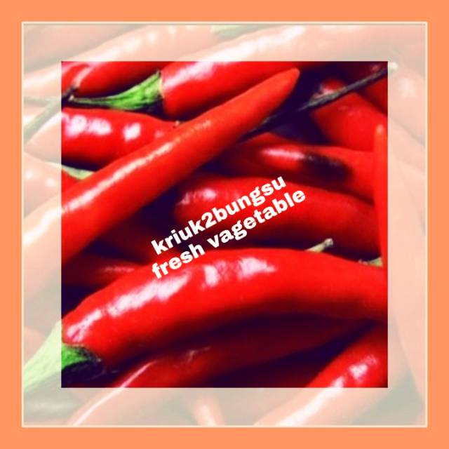 

Cabai merah / cabe merah / sayur segar