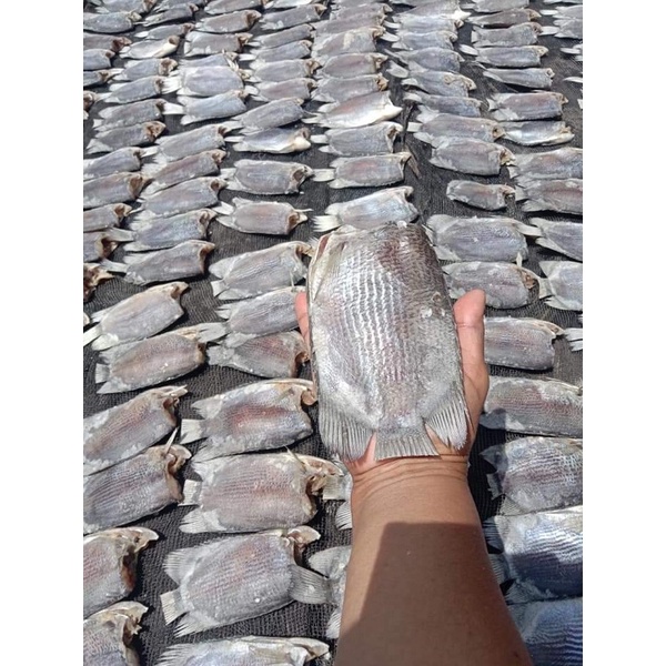 

ikan asin biawan atau jukut pija biawan