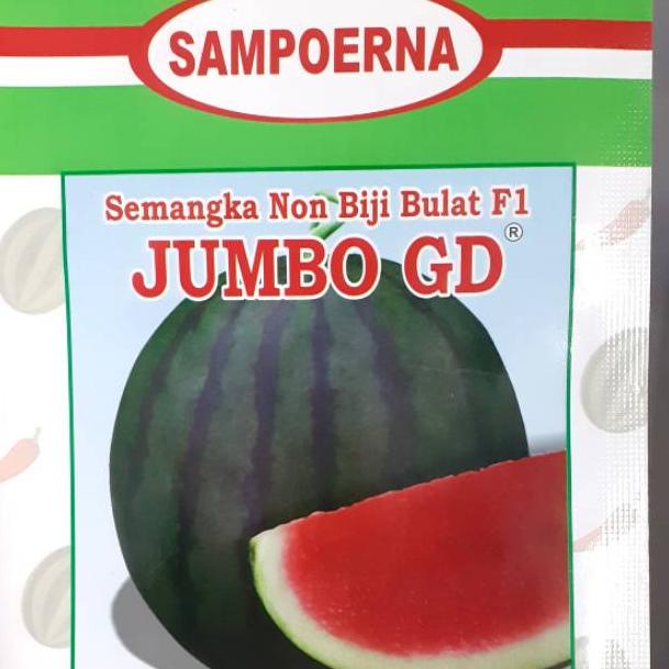 r72❅ Semangka Non Biji Bulat F1 JUMBO GD
