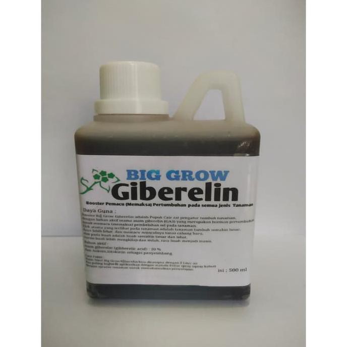 Produk Ready Pupuk Booster Zpt Big Grow Giberelin Agar Tanaman Cepat Berbuah