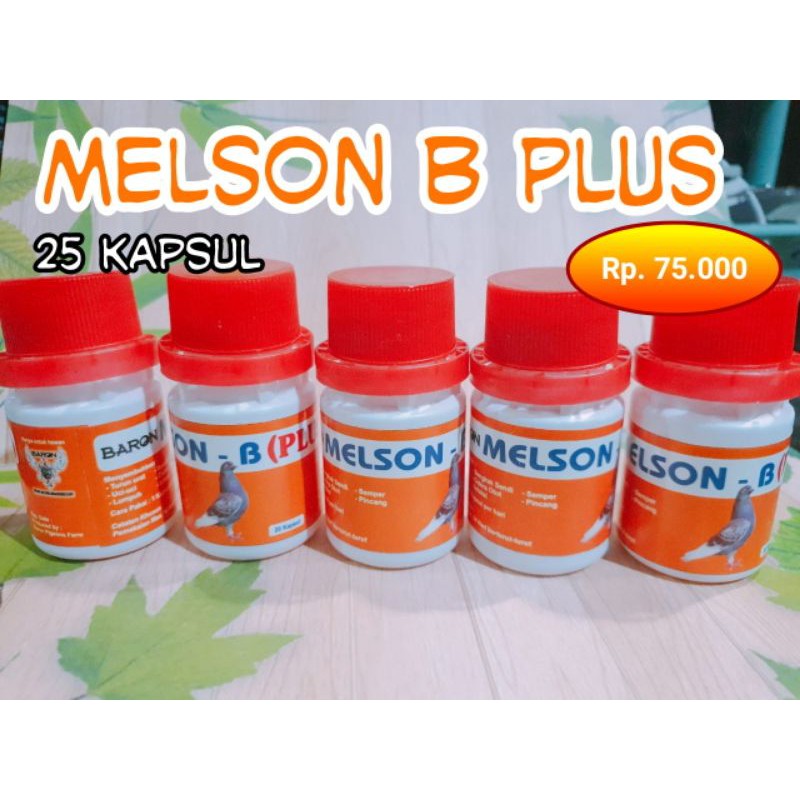 Melson-B (Plus)