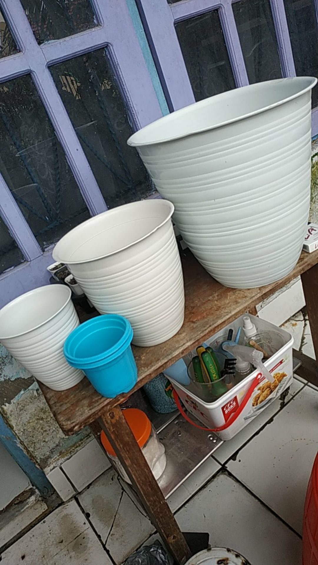 Pot Tanaman-bunga Bibit 9cm 5309-dx (lucky Star)