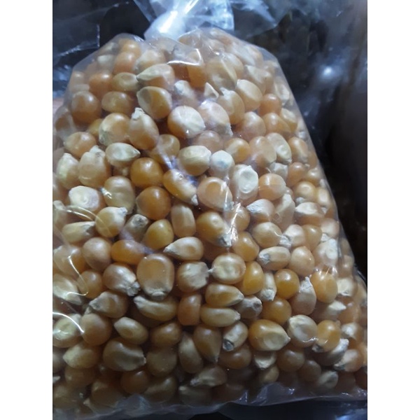 

jagung popcorn 250gr