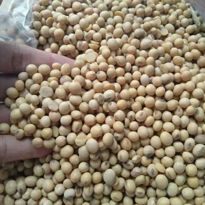 

Kacang Kedelai Mentah 500gram