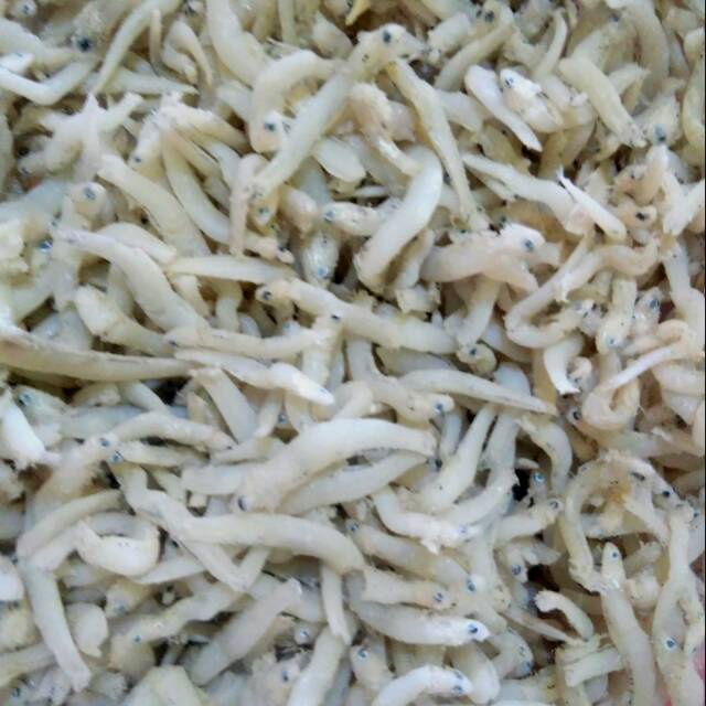 

Teri medan 1/4kg