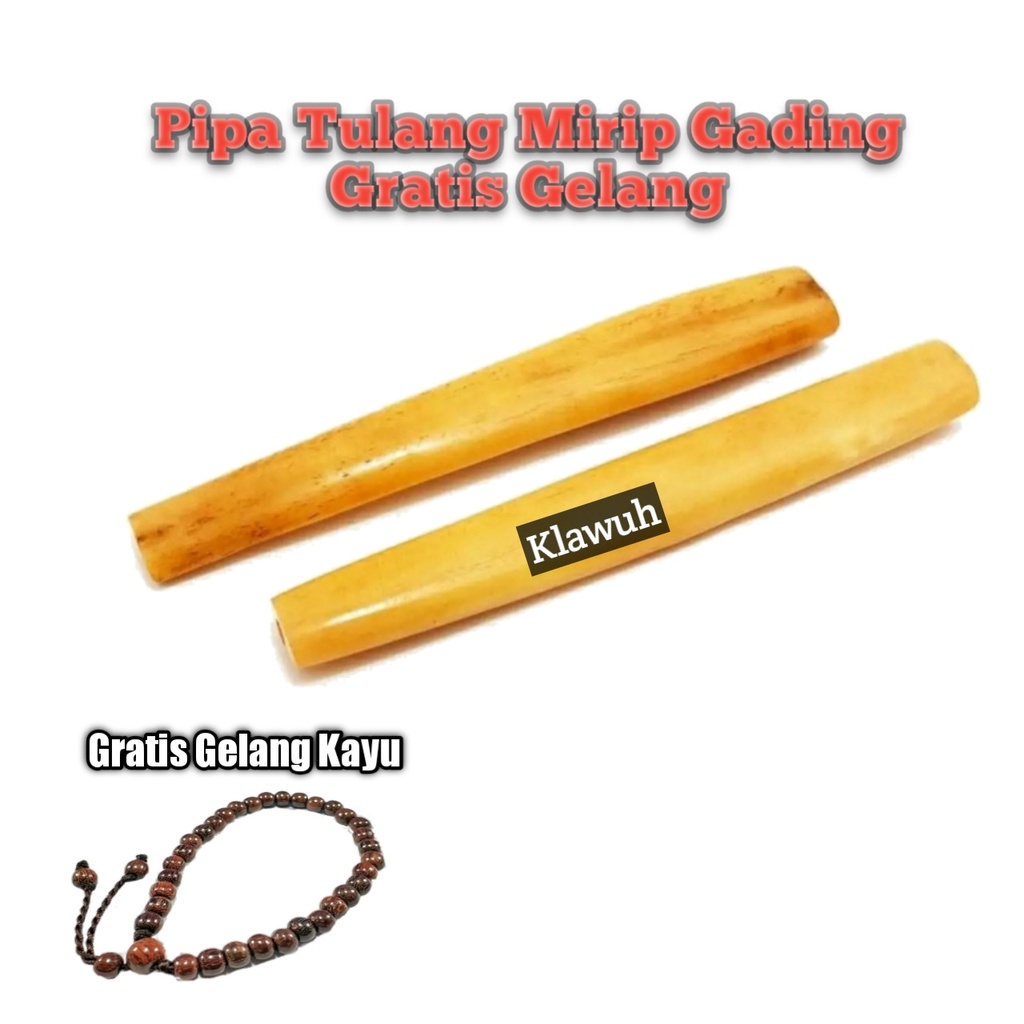 ONCE PIPA ROKO TULANG SAPI MIRIP GADING GRATIS GELANG UNIK